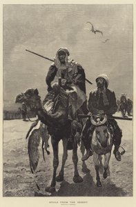 Spoils from the Desert